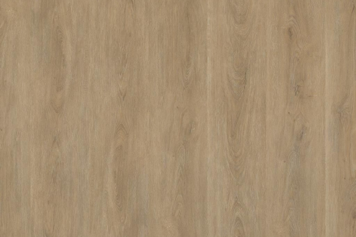 Ambiant Robusto Dryback Natural Oak 1555 - PVC Vloer Kopen